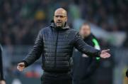 Peter Bosz, Peter Bosz