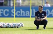 Schalke, Domenico Tedesco, Tedesco, Schalke, Domenico Tedesco, Tedesco