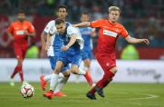VfL Bochum, Saison 2014/15, Nicolas Abdat, VfL Bochum, Saison 2014/15, Nicolas Abdat