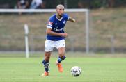 Nabil Bentaleb, FC Schalke 04, Saison 2018/19