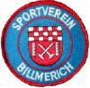 SV BR Billmerich